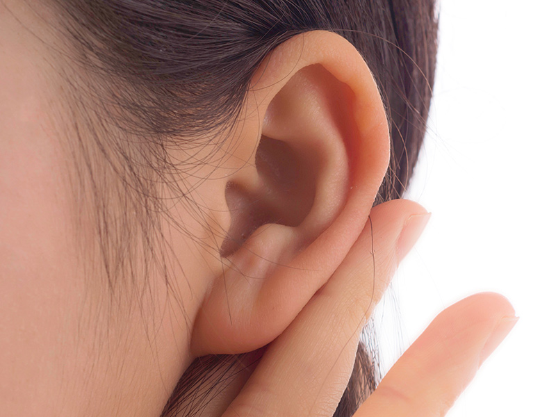 IAE Prova de funcao tubarea